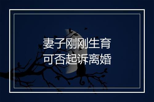 妻子刚刚生育可否起诉离婚