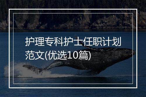 护理专科护士任职计划范文(优选10篇)