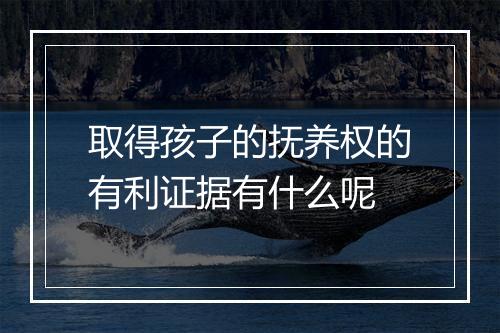 取得孩子的抚养权的有利证据有什么呢