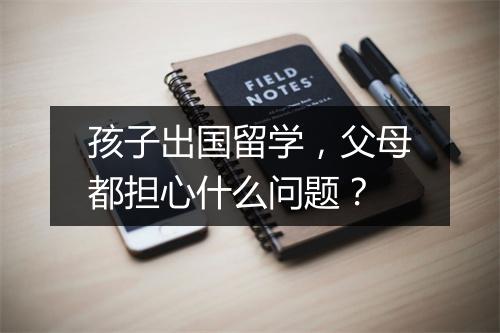 孩子出国留学，父母都担心什么问题？