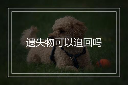 遗失物可以追回吗