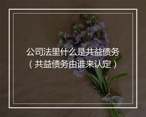 公司法里什么是共益债务（共益债务由谁来认定）