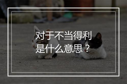 对于不当得利是什么意思？