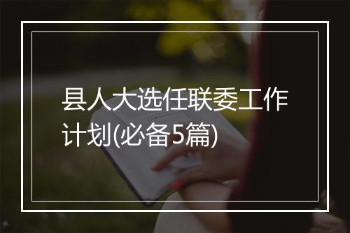 县人大选任联委工作计划(必备5篇)