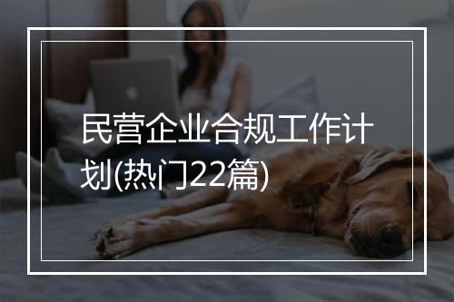 民营企业合规工作计划(热门22篇)