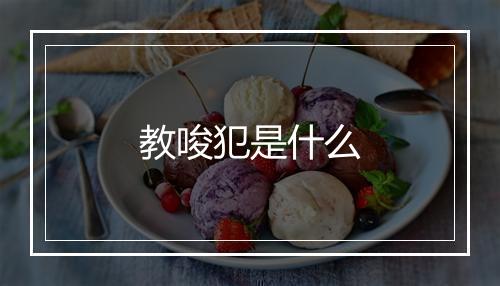 教唆犯是什么