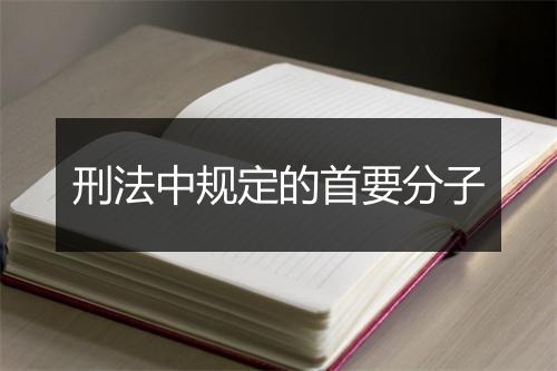 刑法中规定的首要分子