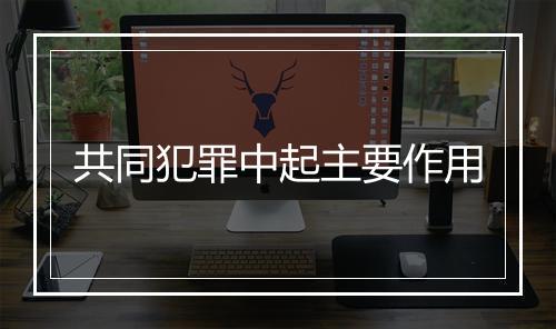 共同犯罪中起主要作用