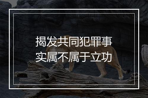 揭发共同犯罪事实属不属于立功