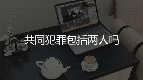 共同犯罪包括两人吗