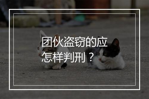 团伙盗窃的应怎样判刑？