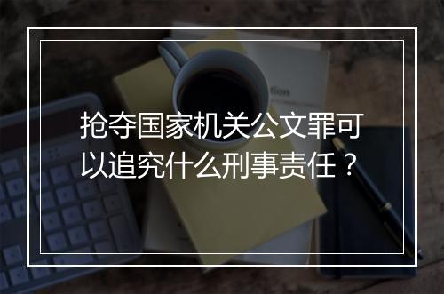 抢夺国家机关公文罪可以追究什么刑事责任？