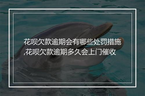 花呗欠款逾期会有哪些处罚措施,花呗欠款逾期多久会上门催收