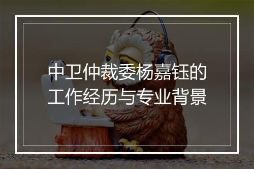 中卫仲裁委杨嘉钰的工作经历与专业背景