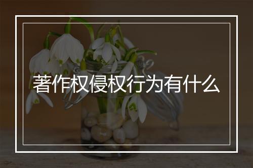 著作权侵权行为有什么