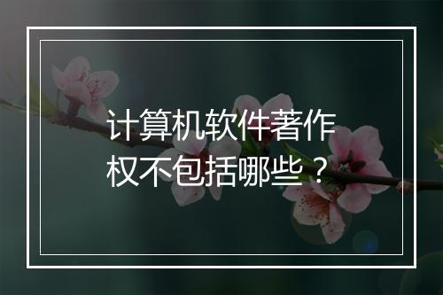 计算机软件著作权不包括哪些？