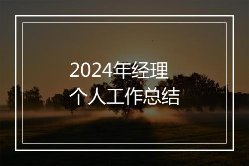 2024年经理个人工作总结