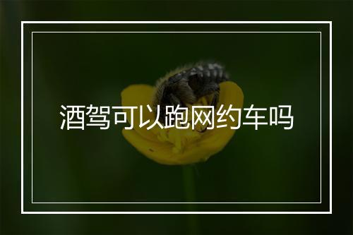 酒驾可以跑网约车吗