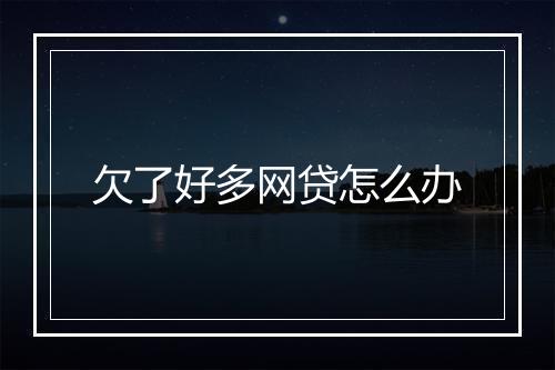 欠了好多网贷怎么办