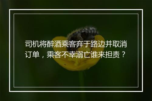 司机将醉酒乘客弃于路边并取消订单，乘客不幸溺亡谁来担责？