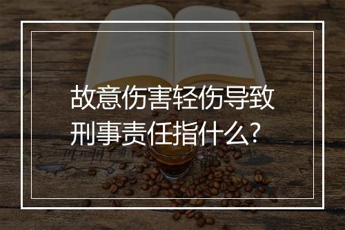 故意伤害轻伤导致刑事责任指什么?