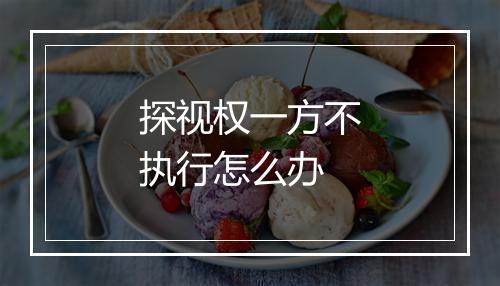 探视权一方不执行怎么办