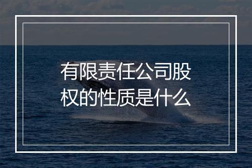 有限责任公司股权的性质是什么