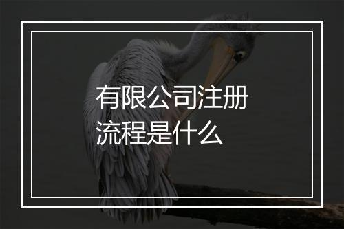 有限公司注册流程是什么