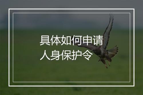 具体如何申请人身保护令