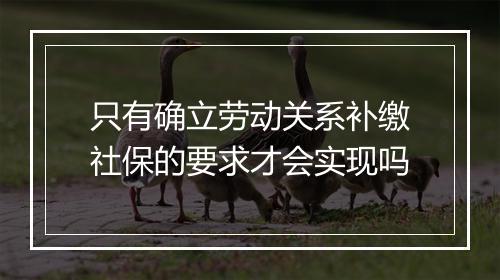 只有确立劳动关系补缴社保的要求才会实现吗