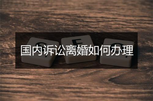 国内诉讼离婚如何办理