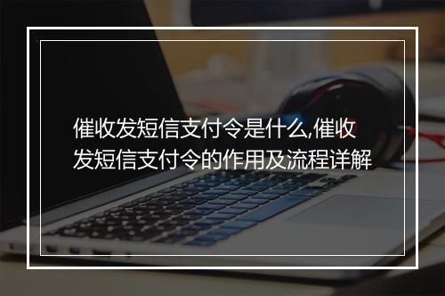 催收发短信支付令是什么,催收发短信支付令的作用及流程详解