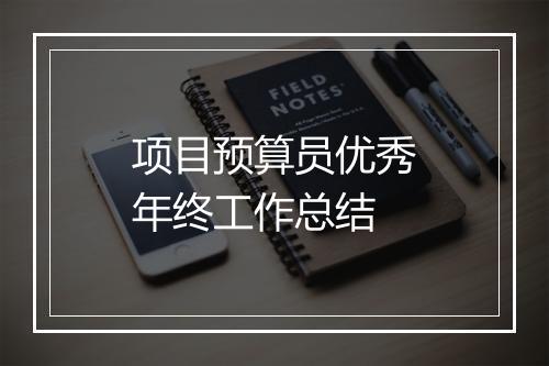 项目预算员优秀年终工作总结