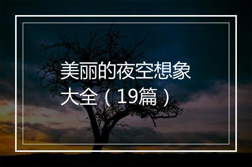 美丽的夜空想象大全（19篇）