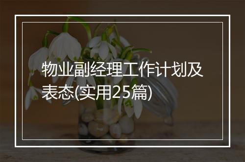 物业副经理工作计划及表态(实用25篇)