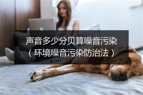 声音多少分贝算噪音污染（环境噪音污染防治法）