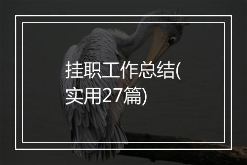挂职工作总结(实用27篇)
