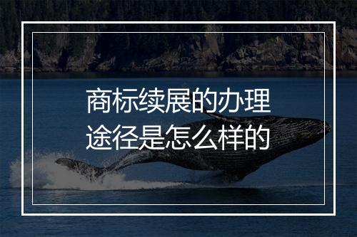 商标续展的办理途径是怎么样的