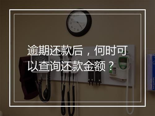 逾期还款后，何时可以查询还款金额？