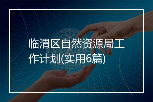 临渭区自然资源局工作计划(实用6篇)