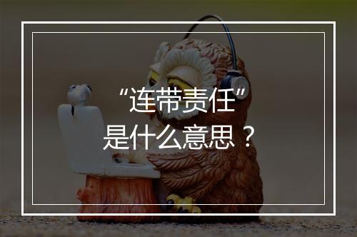 “连带责任”是什么意思？