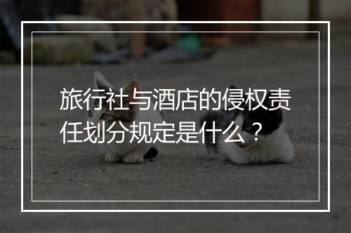 旅行社与酒店的侵权责任划分规定是什么？