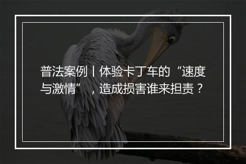 普法案例丨体验卡丁车的“速度与激情”，造成损害谁来担责？