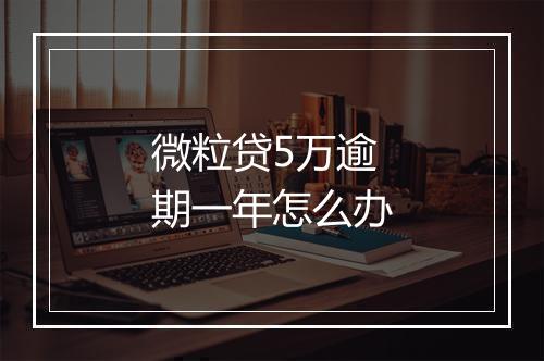 微粒贷5万逾期一年怎么办