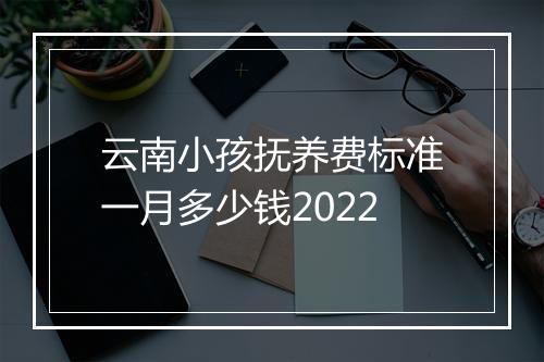 云南小孩抚养费标准一月多少钱2022
