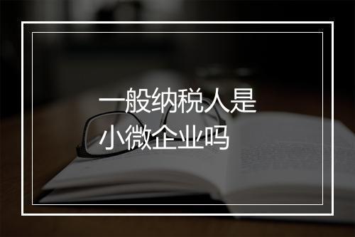 一般纳税人是小微企业吗