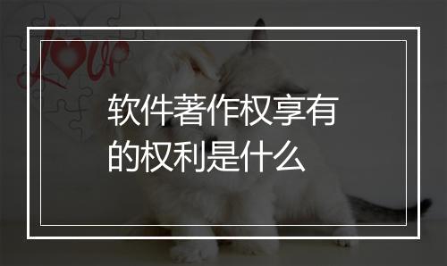 软件著作权享有的权利是什么
