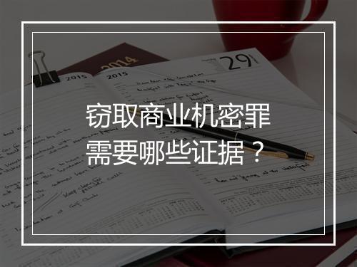 窃取商业机密罪需要哪些证据？
