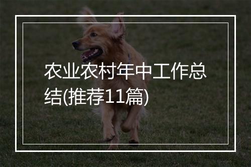 农业农村年中工作总结(推荐11篇)