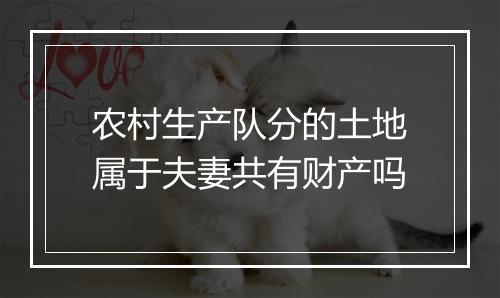 农村生产队分的土地属于夫妻共有财产吗